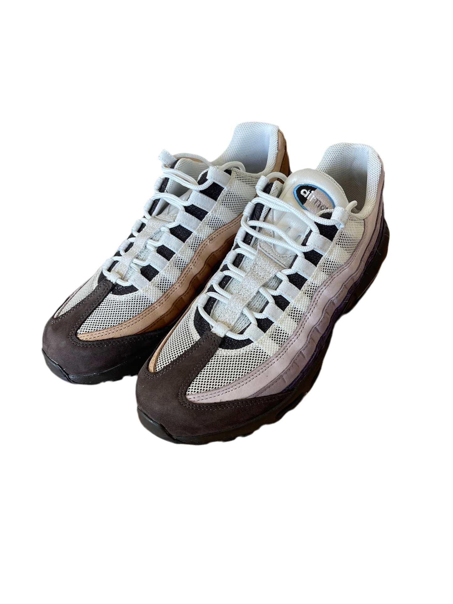 Nike Air Max 95 Unearthed (9.5US)